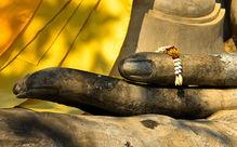 大安法师视频,深入解读佛教智慧与人生哲理