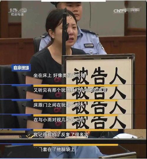 社会与法视频,聚焦法治进程，解码社会变迁