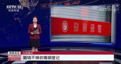 社会与法视频,聚焦法治进程，解码社会变迁