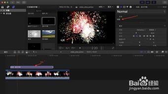 视频上加字幕,探寻内容核心
