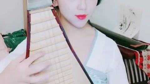 琵琶视频教程,从入门到精通的技能提升之路