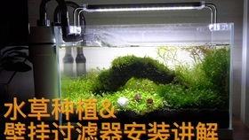 过滤器安装视频,轻松掌握安装步骤与技巧