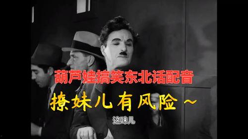 东北话视频搞笑视频,笑料百出，方言魅力无限