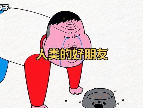 东北话视频搞笑视频,笑料百出，方言魅力无限