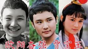 怡红院怡红院视频,揭秘古代园林中的繁华与风情