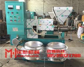 榨油机视频,榨油机工作原理与操作流程揭秘