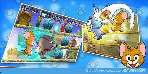 猫鼠大战视频,一场惊心动魄的生存较量