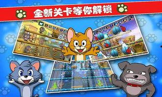 猫鼠大战视频,一场惊心动魄的生存较量