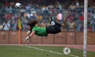 伊基塔蝎子摆尾视频,揭秘神秘生物的惊人力量