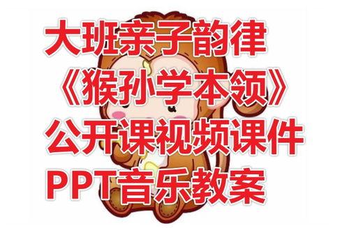 大班完整版视频,揭秘精彩瞬间与核心观点