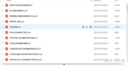 养兔视频教程,视频教程带你轻松入门