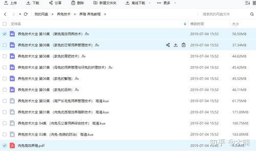 养兔视频教程,视频教程带你轻松入门