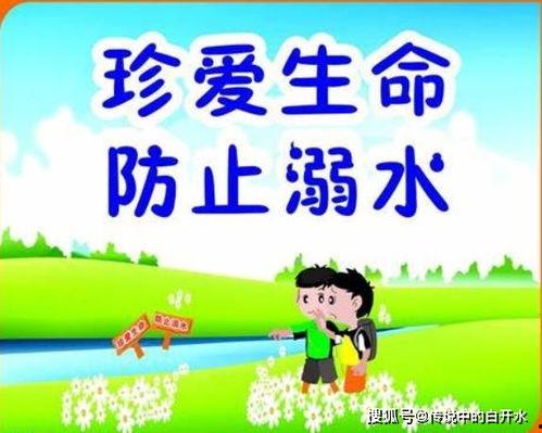 预防溺水视频,视频深度解析