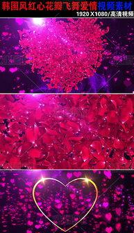 爱情素材视频,捕捉心动时刻的温馨瞬间