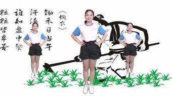 锄禾舞蹈视频,汗水与韵律交织的田间乐章