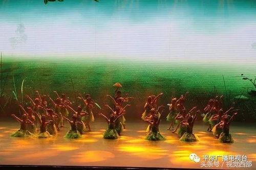 锄禾舞蹈视频,汗水与韵律交织的田间乐章