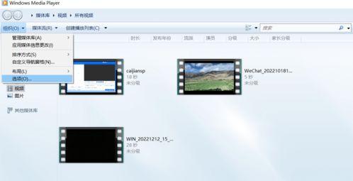 下载的视频打不开,揭秘常见问题及解决方案