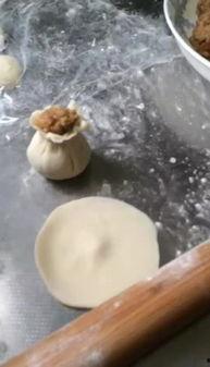 烧麦的做法大全视频,视频教程大揭秘