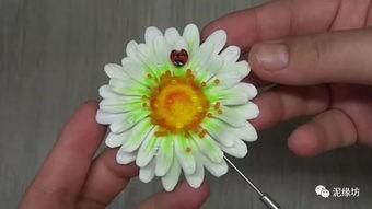 花芯视频,探索花卉之美，感受自然魅力