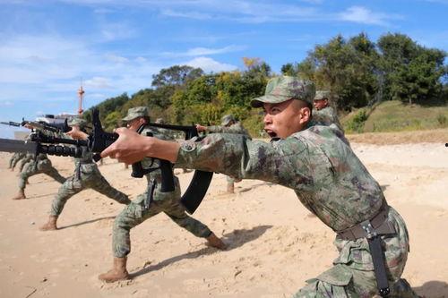 刺杀操视频,揭秘神秘暗杀技能的惊心动魄瞬间