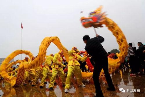 舞龙狮视频,传承千年民俗魅力