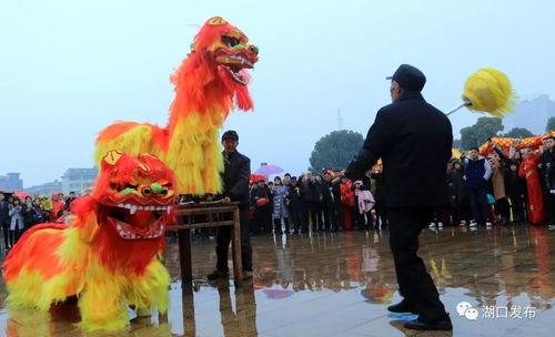 舞龙狮视频,传承千年民俗魅力