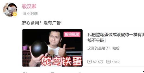 铁蛋视频