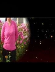 兔子广场舞视频,欢乐时光，舞动青春风采