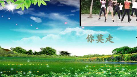 兔子广场舞视频,欢乐时光，舞动青春风采