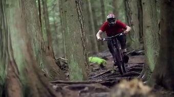 山地速降视频,惊险刺激的极限运动瞬间