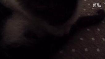 啤酒肚的视频,揭秘饮酒与腹部肥胖的惊人关系