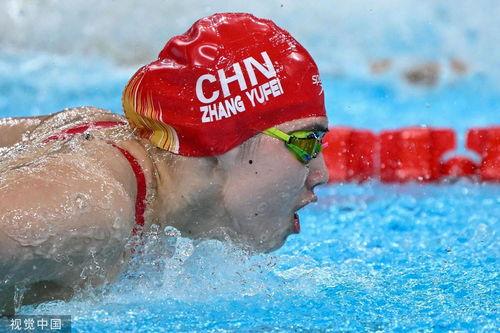 蝶泳比赛视频,速度与激情的完美演绎