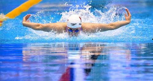 蝶泳比赛视频,速度与激情的完美演绎