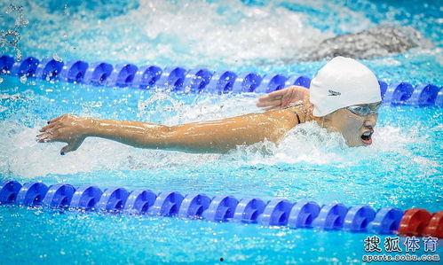 蝶泳比赛视频,速度与激情的完美演绎