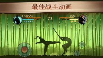 暗影格斗2视频,沉浸式战斗体验，揭秘暗影世界的惊险冒险