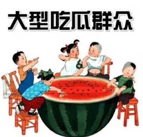 吃瓜爆料17c蘑菇招商,揭秘绿色产业新风口