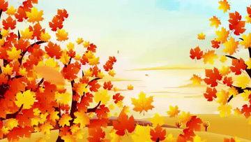 秋天视频素材,捕捉季节变换的美丽瞬间