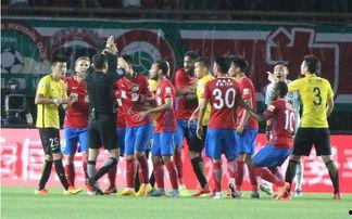 足协杯视频直播,精彩瞬间尽收眼底